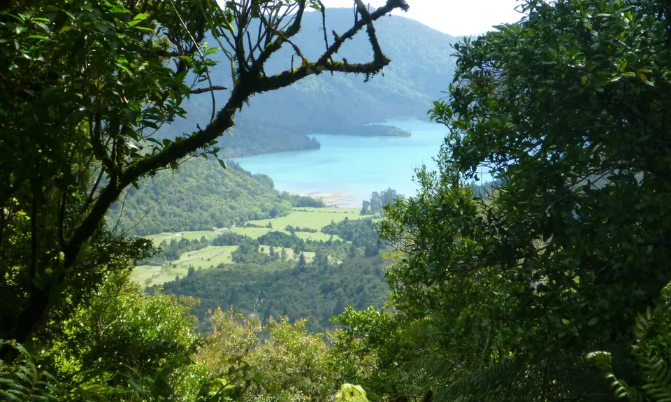 Nydia Track, Marlborough