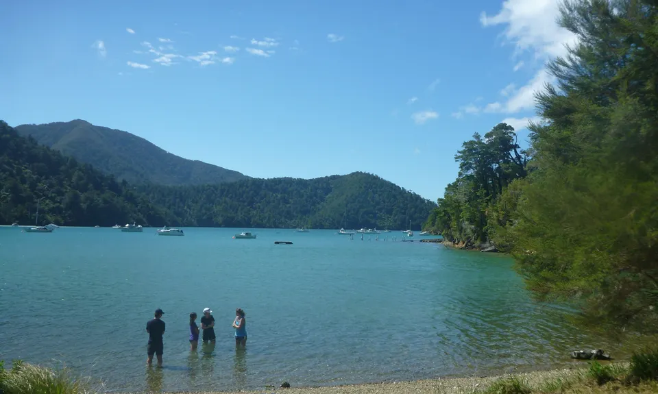 Nydia Track, Marlborough