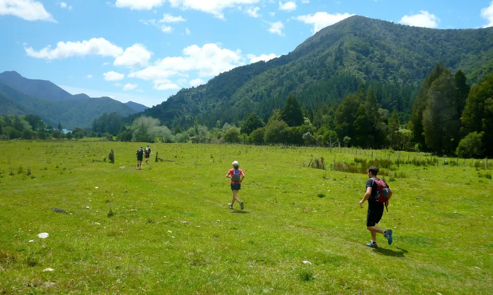 Nydia Track, Marlborough