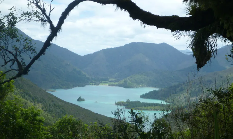Nydia Track, Marlborough