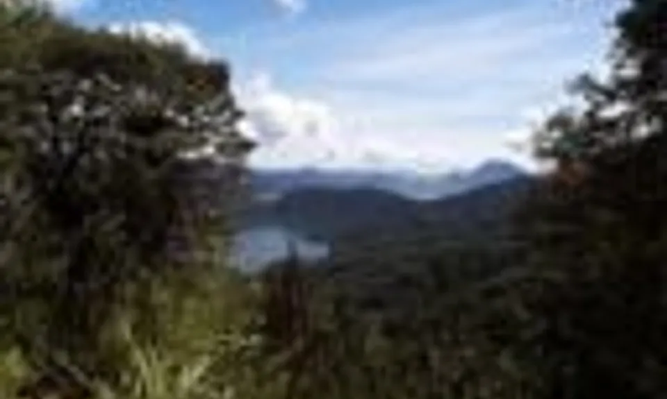 Nydia Track, Marlborough