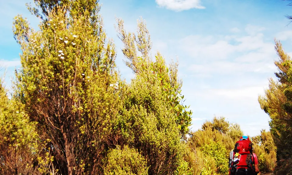 Silverpeaks Classic Loop, Otago