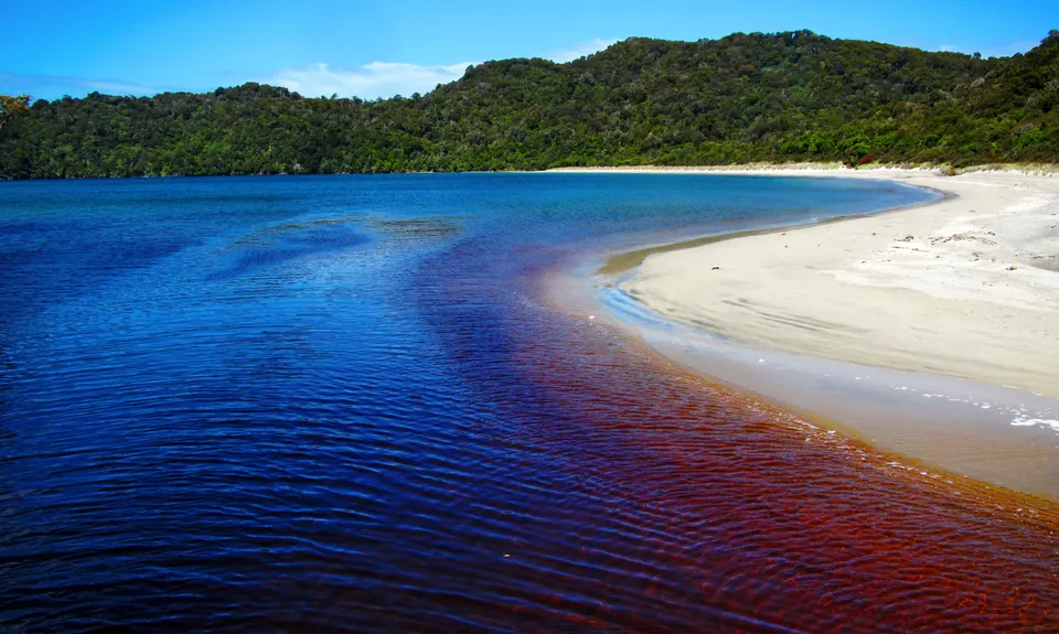 Rakiura Track, Southland