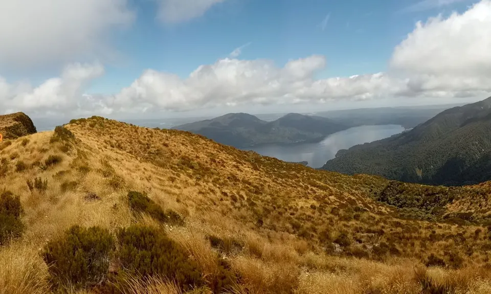 Mt Brown Bonanza, West Coast