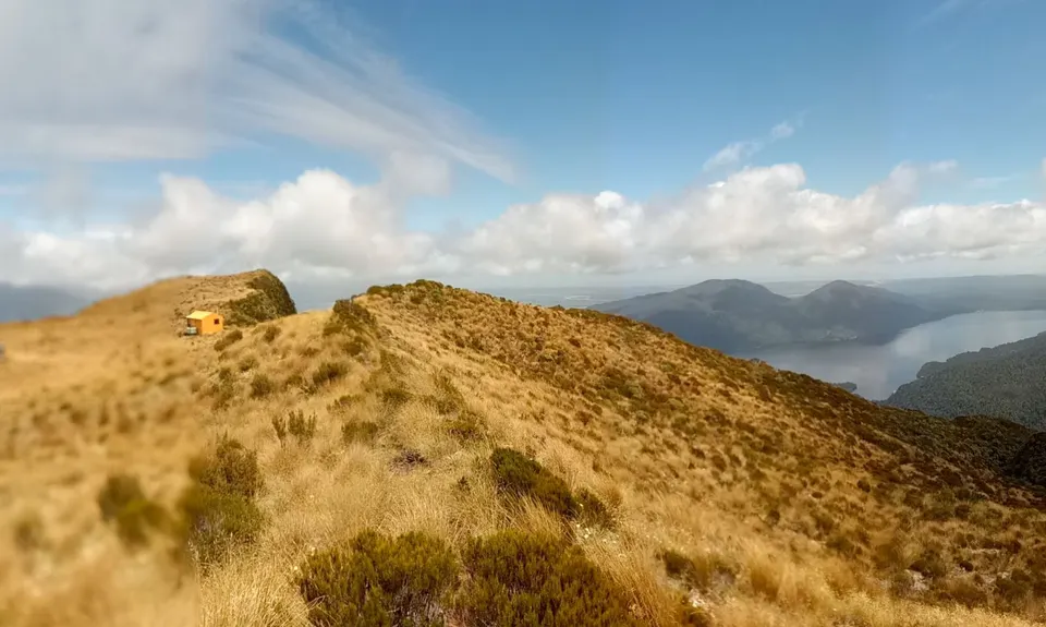 Mt Brown Bonanza, West Coast