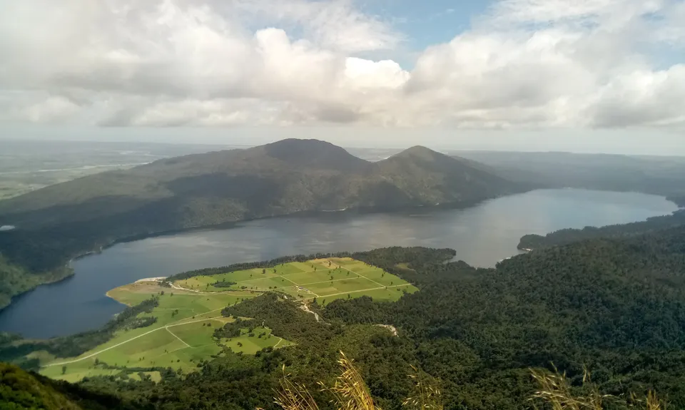 Mt Brown Bonanza, West Coast