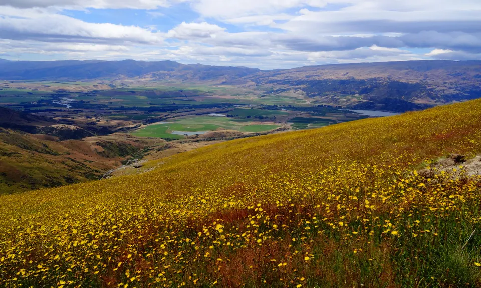 Mt Pisa via Tinwald Burn Ridge, Otago