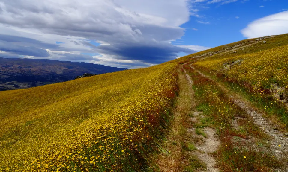Mt Pisa via Tinwald Burn Ridge, Otago