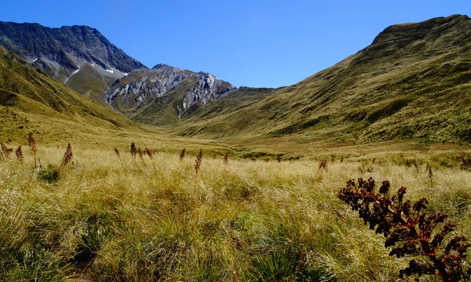 Mount Aurum - Skippers, Otago