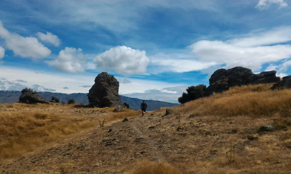 Aurora and Kanuka Loops, Otago