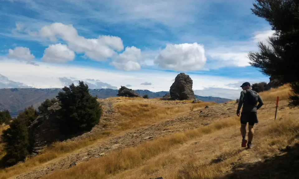 Aurora and Kanuka Loops, Otago