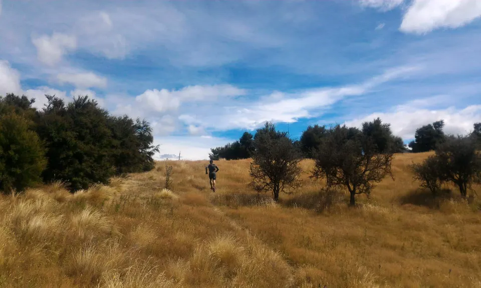 Aurora and Kanuka Loops, Otago