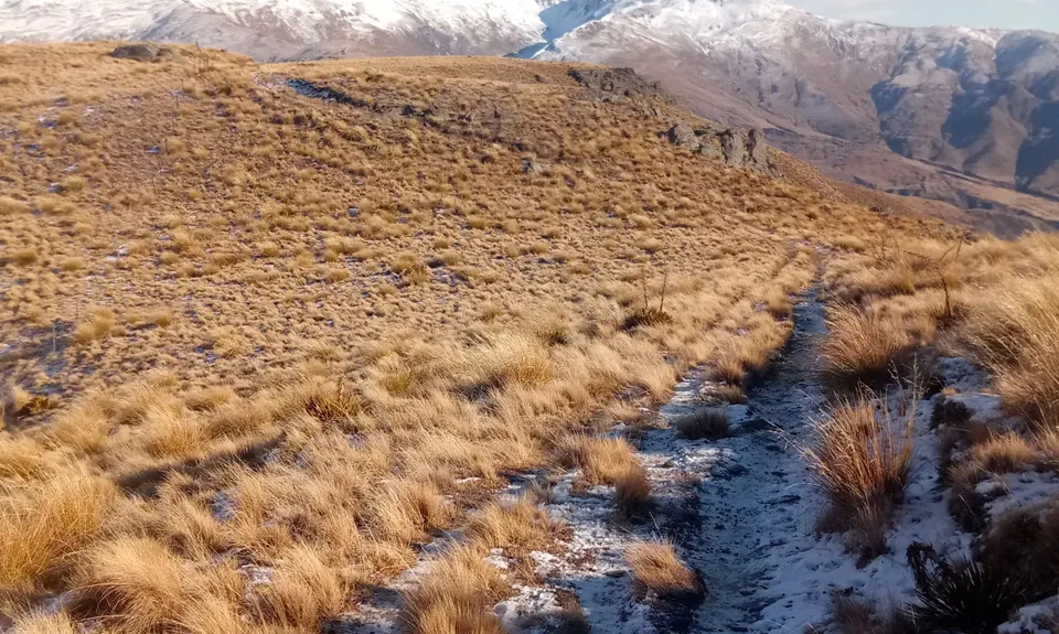 Mt Rosa Loop, Otago