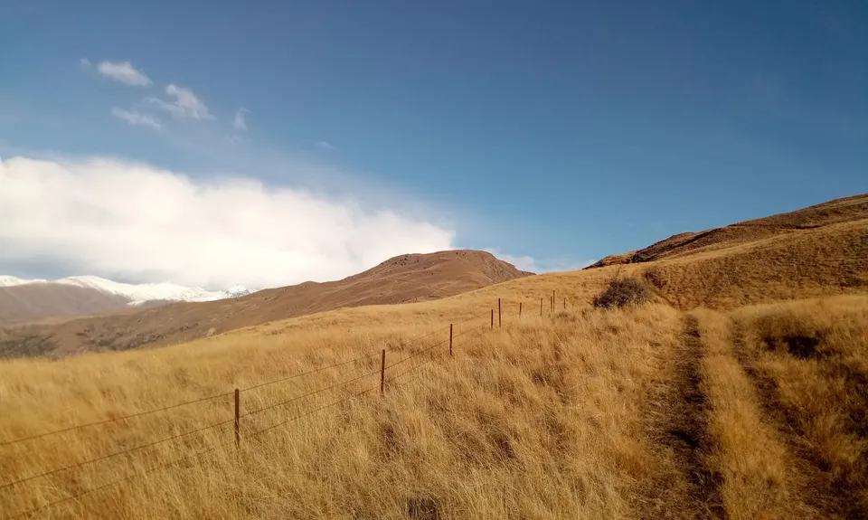 Mt Rosa Loop, Otago