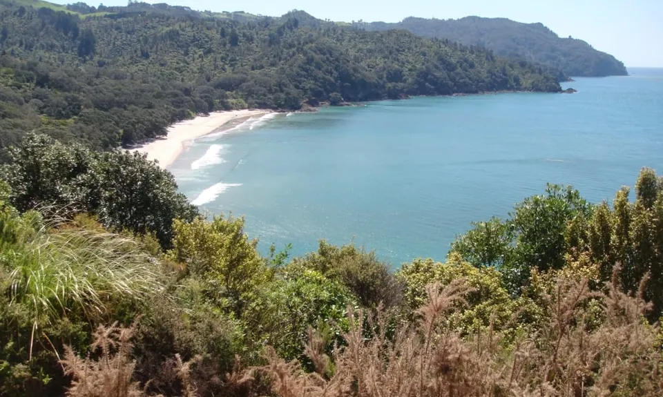 The Great OH Trail, Bay of Plenty