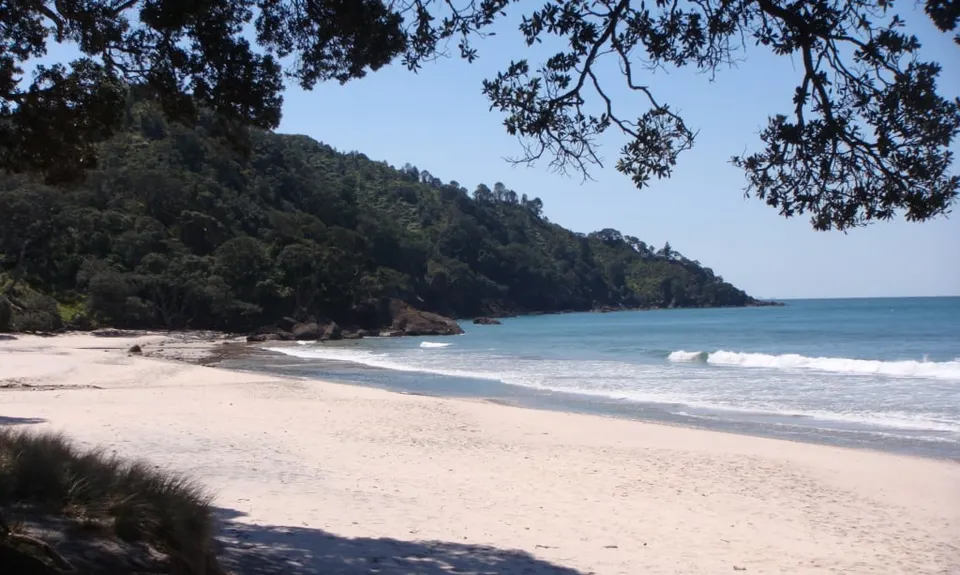The Great OH Trail, Bay of Plenty
