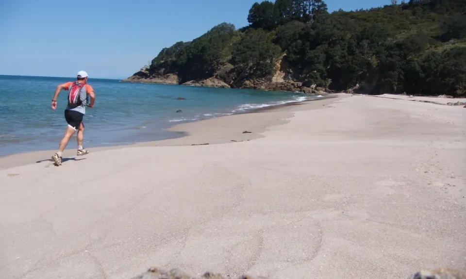The Great OH Trail, Bay of Plenty