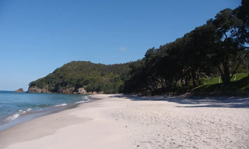 The Great OH Trail, Bay of Plenty