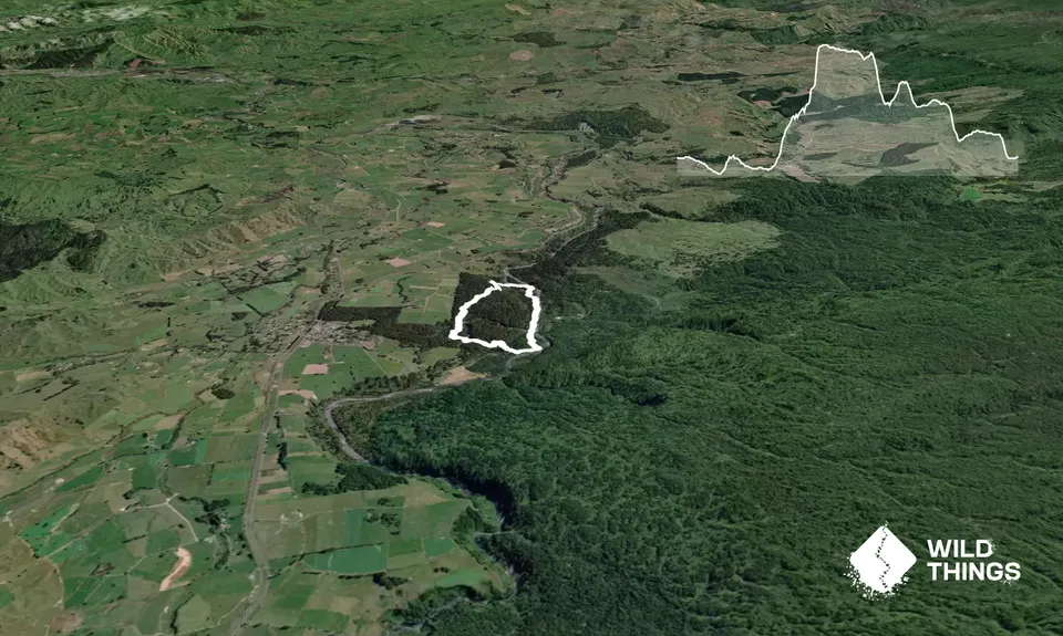 Ohinetonga Scenic Reserve - Owhango, Manawatu - Wanganui