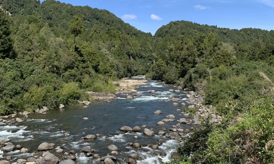 Ohinetonga Scenic Reserve - Owhango, Manawatu - Wanganui