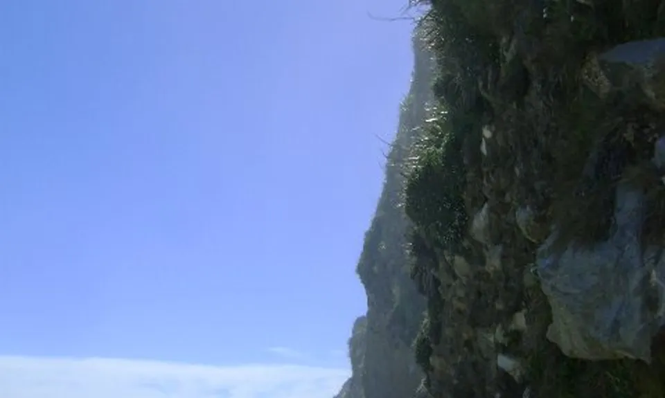 Okarito Majesty, West Coast