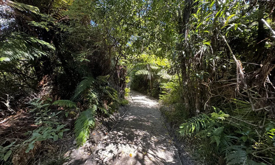 Ōkareka Loop, Bay of Plenty