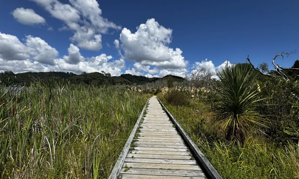 Ōkareka Loop, Bay of Plenty