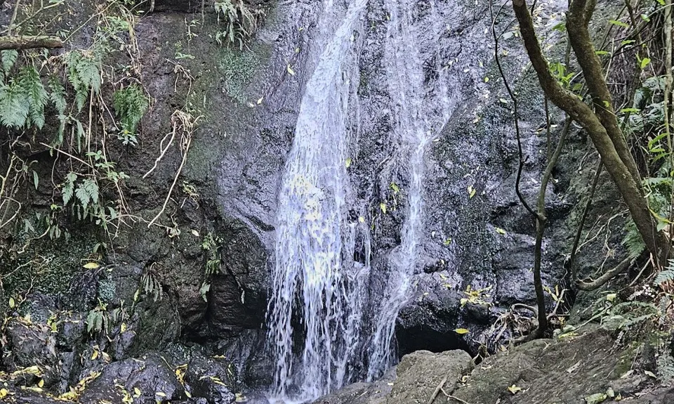 Omahu Anne's Falls & Gibraltar Loop, Canterbury