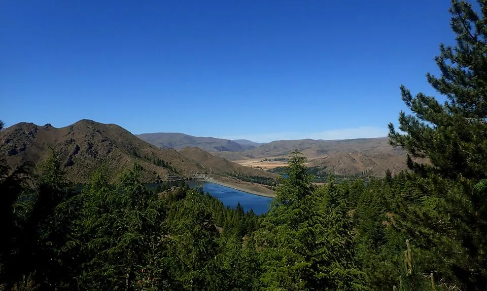 Benmore Peninsula Track , Otago