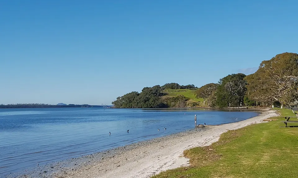 Kauri Point Kaper, Bay of Plenty