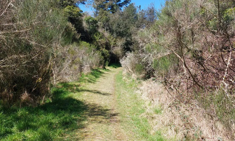 Opepe Reserve, Waikato