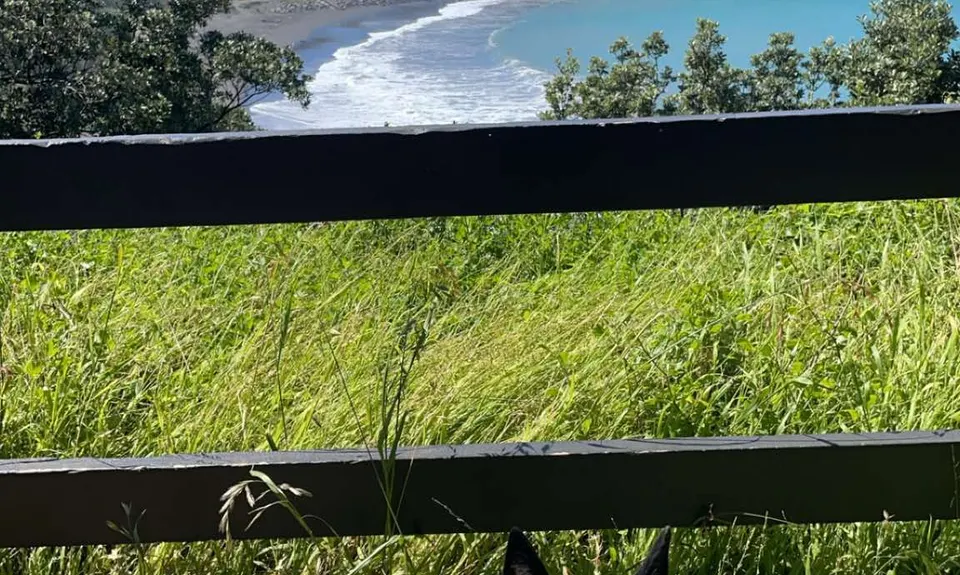 Opunake Loop trail, Taranaki