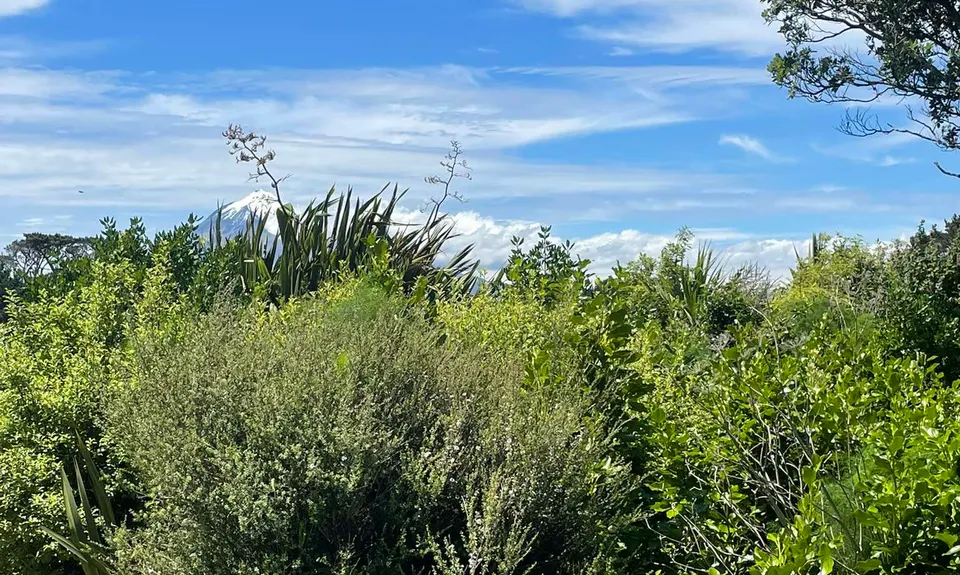 Opunake Loop trail, Taranaki