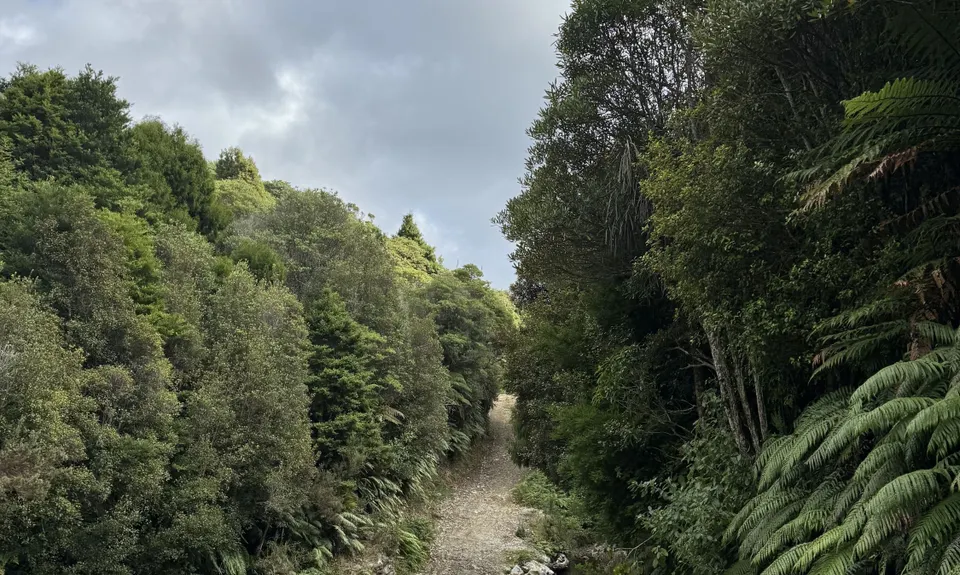 Orange Hut via Perhams, Wellington