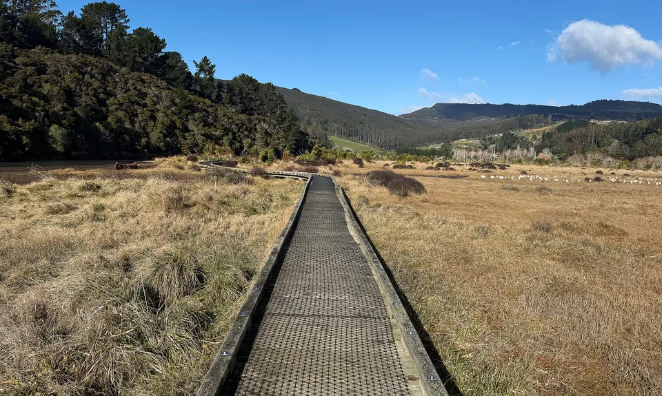 Orokonui Lagoon Track, Otago