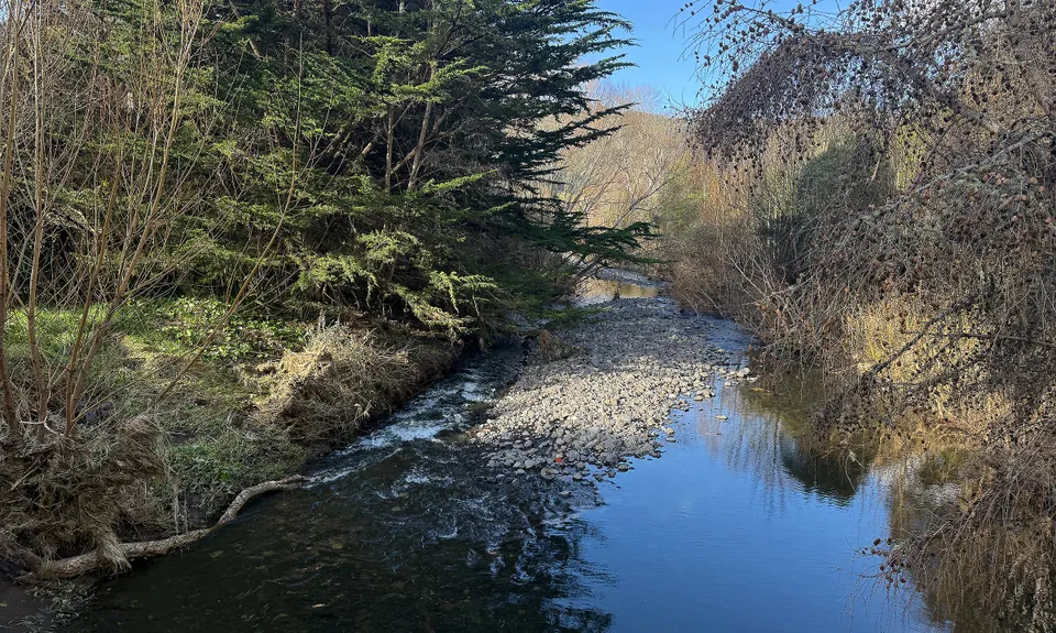 Orokonui Lagoon Track, Otago
