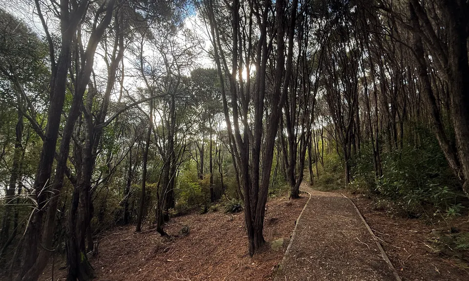 Orokonui Lagoon Track, Otago