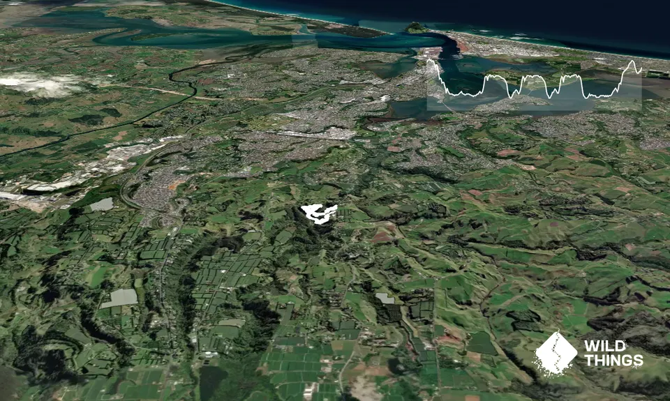 Oropi East Side, Bay of Plenty