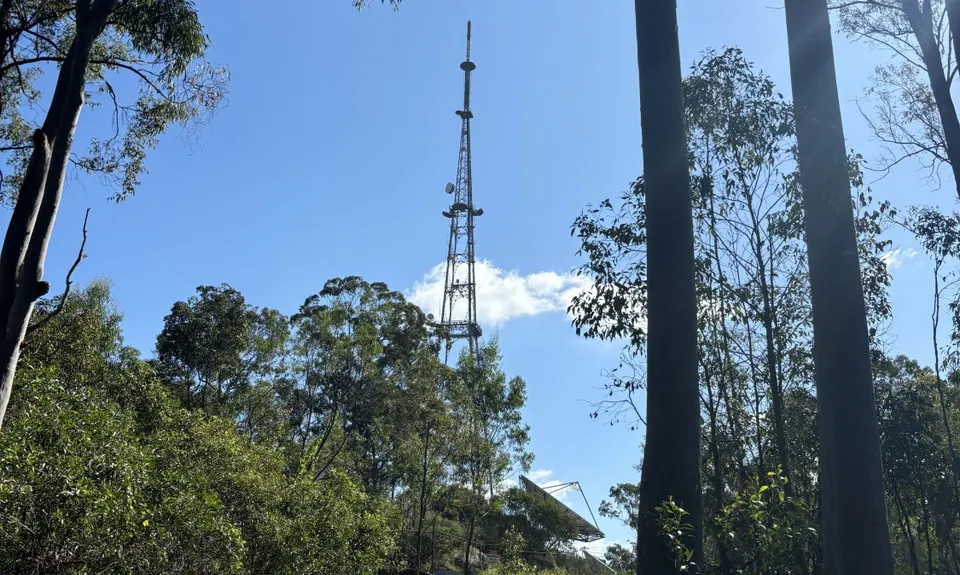 Owls are Powerful, Queensland