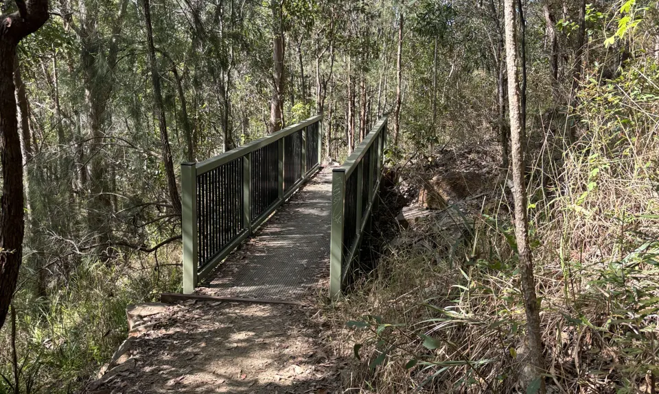 Owls are Powerful, Queensland