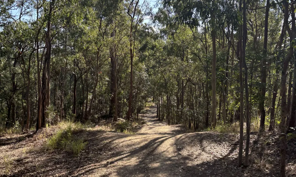 Owls are Powerful, Queensland