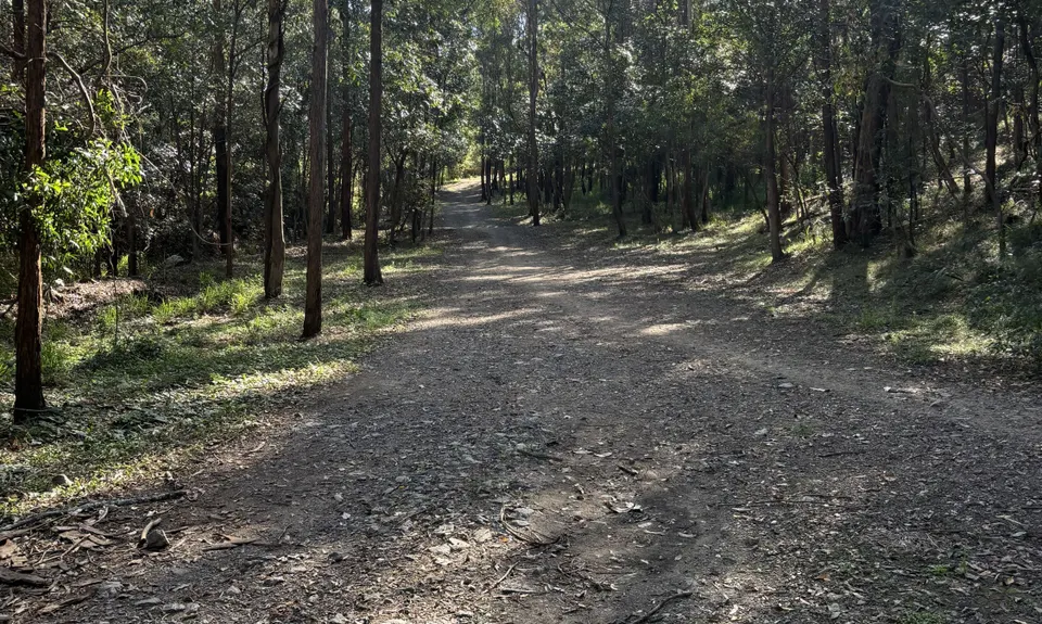Owls are Powerful, Queensland