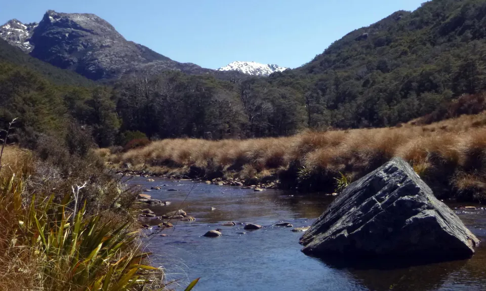 Fenella Hut , Tasman