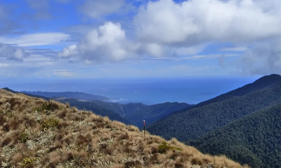 Mt Watson Croesus Loop, West Coast