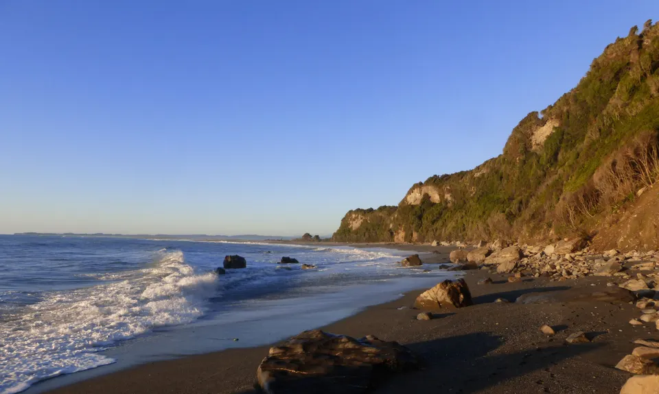 Okarito Majesty, West Coast