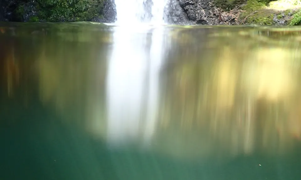 Otainewainuku - Whataroa Falls, Bay of Plenty