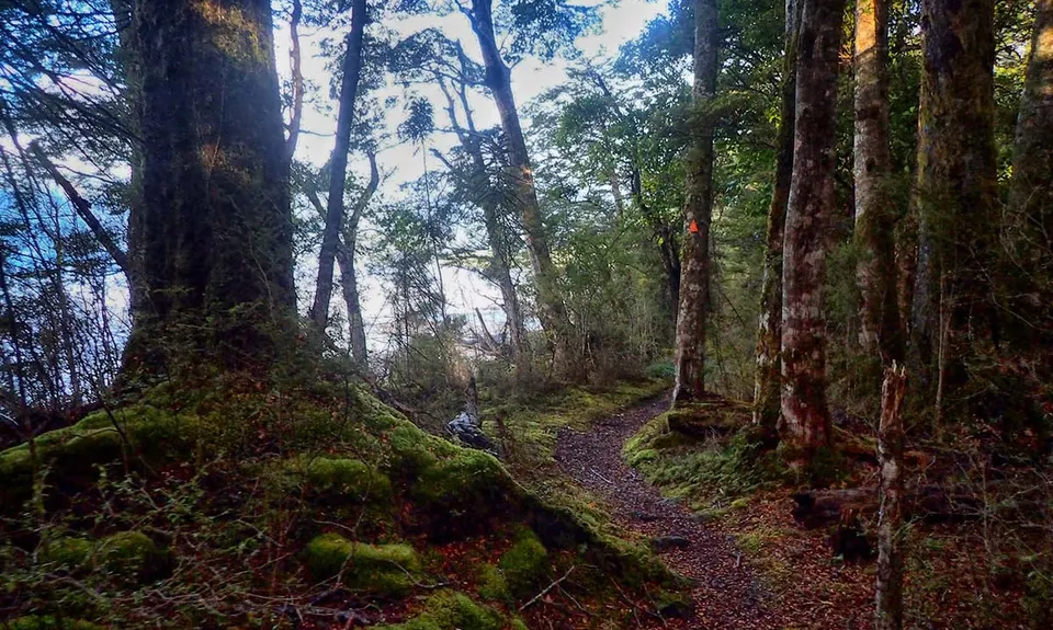 Lake Hauroko Lookout Trail, Southland