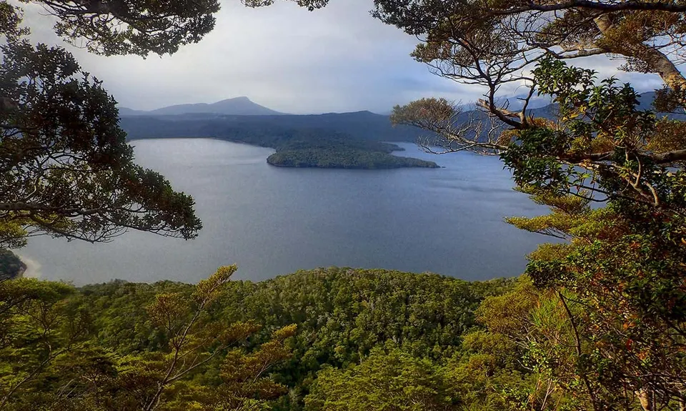 Lake Hauroko Lookout Trail, Southland