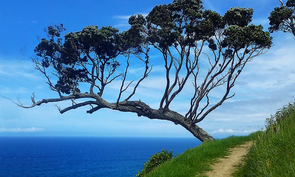 Mangawhai Heads , Northland