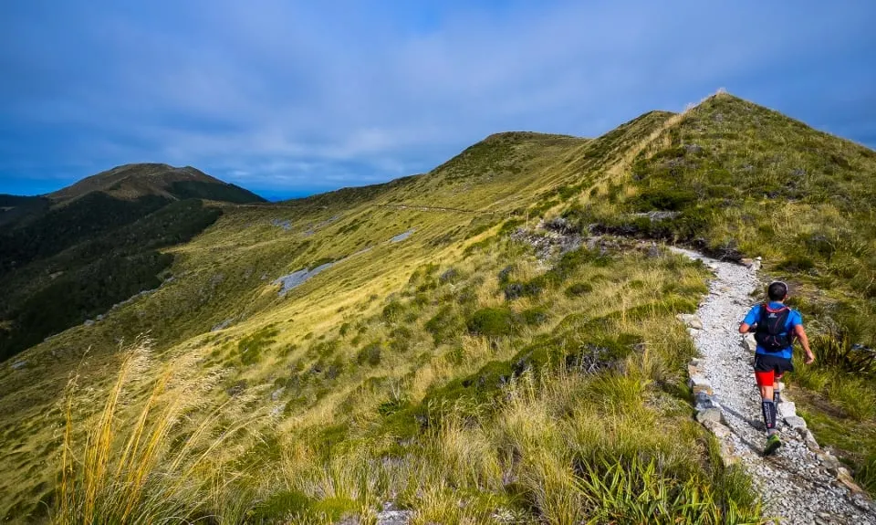 The Old Ghost Road, West Coast